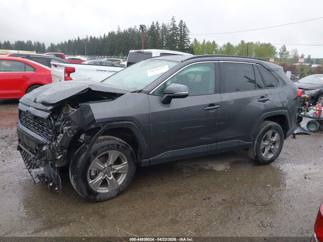 Toyota Rav4 Xle 2024 2T3W1RFV5RW339778 Image 14
