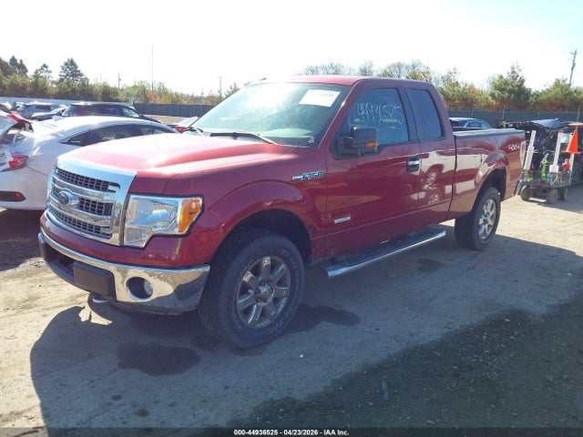 44936525 :رقم المزاد ، 1FTFX1ET7DFA03687 vin ، 2013 Ford F-150 Xlt مزاد بيع