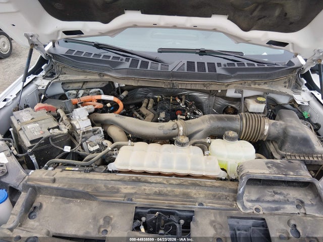 Ford F-150 Xlt 2024 1FTFW3LD9RFA72057 Image 10
