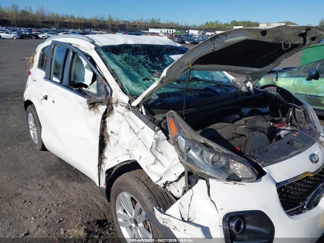 Продажа на аукционе авто 2018 Kia Sportage Lx, vin: KNDPMCAC0J7446431, номер лота: 44939635