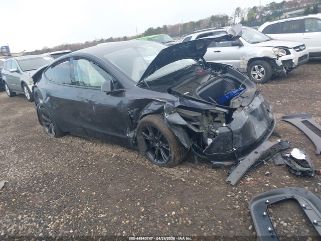 Продаж на аукціоні авто 2025 Tesla Model Y Long Range Dual Motor Rear-wheel Drive, vin: 7SAYGDED8SA369646, номер лоту: 44940747