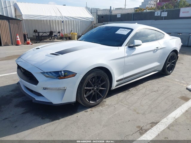 Ford Mustang Ecoboost Fastback 2022 1FA6P8TH1N5134473 Image 2