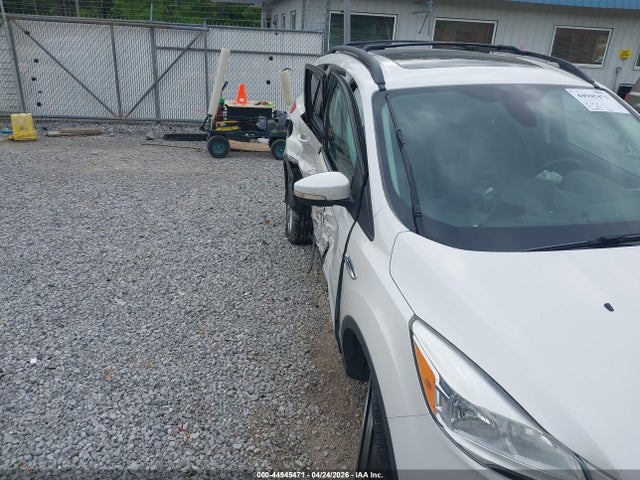 44945471 :رقم المزاد ، 1FMCU0HX3DUB14510 vin ، 2013 Ford Escape Sel مزاد بيع