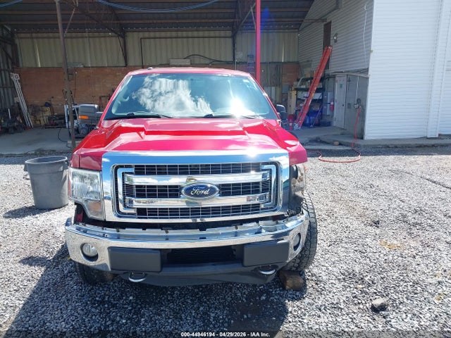 Продаж на аукціоні авто 2013 Ford F-150 Xlt, vin: 1FTFX1ET8DFA66510, номер лоту: 44946194