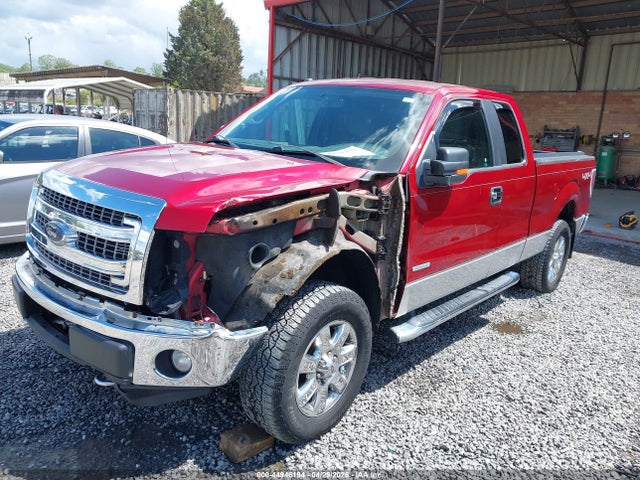 Продаж на аукціоні авто 2013 Ford F-150 Xlt, vin: 1FTFX1ET8DFA66510, номер лоту: 44946194