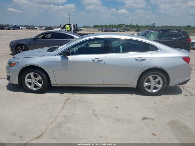 2019 Chevrolet Malibu 1fl მანქანა იყიდება აუქციონზე, vin: 1G1ZC5STXKF181202, აუქციონის ნომერი: 44946679