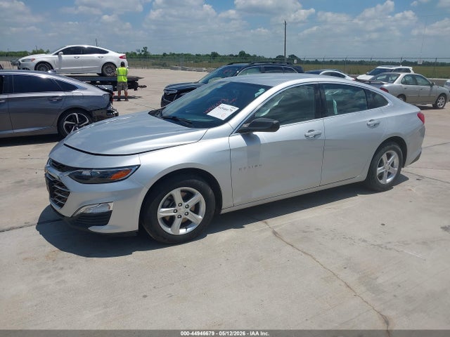 2019 Chevrolet Malibu 1fl მანქანა იყიდება აუქციონზე, vin: 1G1ZC5STXKF181202, აუქციონის ნომერი: 44946679