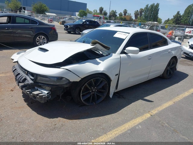 44947204 :رقم المزاد ، 2C3CDXGJ0KH619368 vin ، 2019 Dodge Charger Scat Pack Rwd مزاد بيع