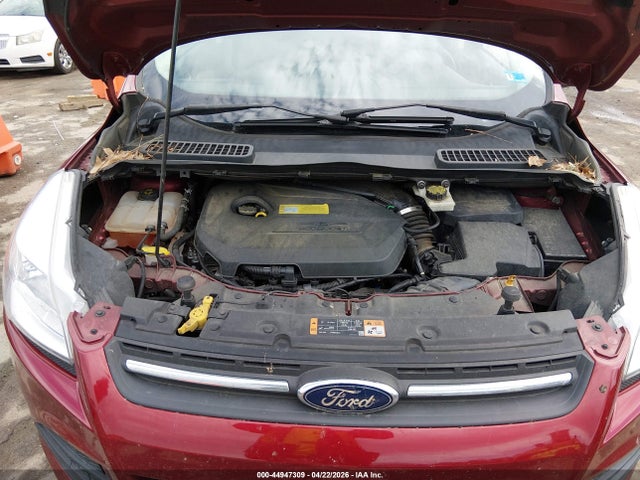 Ford ESCAPE SE 2014 1FMCU0GX6EUB23950 Image 10