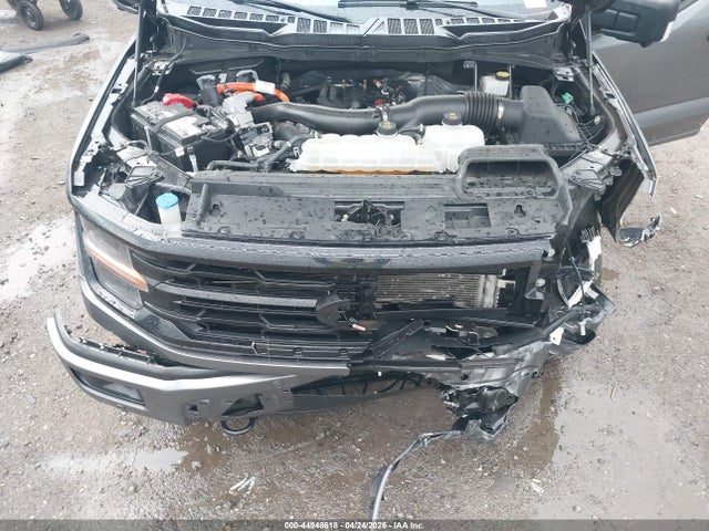 Aukcja sprzedaży 2024 Ford F-150 Xlt, vin: 1FTFW3LD7RFA08485, numer aukcji: 44948618
