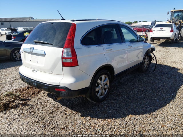 Aukcja sprzedaży 2009 Honda Cr-v Ex-l, vin: 5J6RE38719L000445, numer aukcji: 44948626