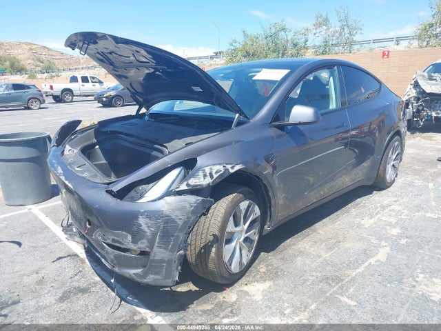 Aukcja sprzedaży 2023 Tesla Model Y Rwd, vin: 7SAYGDED4PF979411, numer aukcji: 44949265