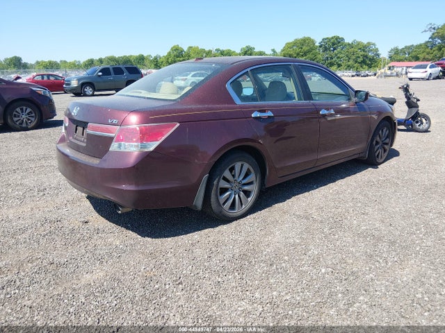44949747 :رقم المزاد ، 1HGCP3F89BA017661 vin ، 2011 Honda Accord 3.5 Ex-l مزاد بيع