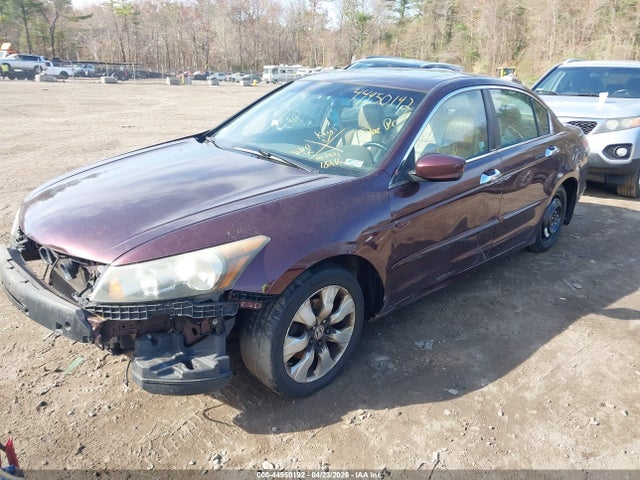 2010 Honda Accord 3.5 Ex-l მანქანა იყიდება აუქციონზე, vin: 5KBCP3F81AB007180, აუქციონის ნომერი: 44950192