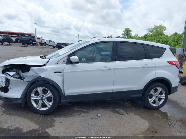 Продажа на аукционе авто 2014 Ford Escape Se, vin: 1FMCU0GX3EUC94106, номер лота: 44951512