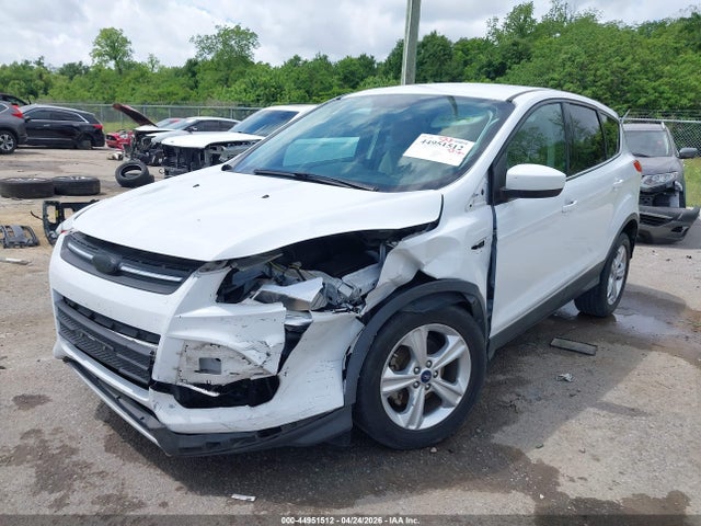 Продажа на аукционе авто 2014 Ford Escape Se, vin: 1FMCU0GX3EUC94106, номер лота: 44951512