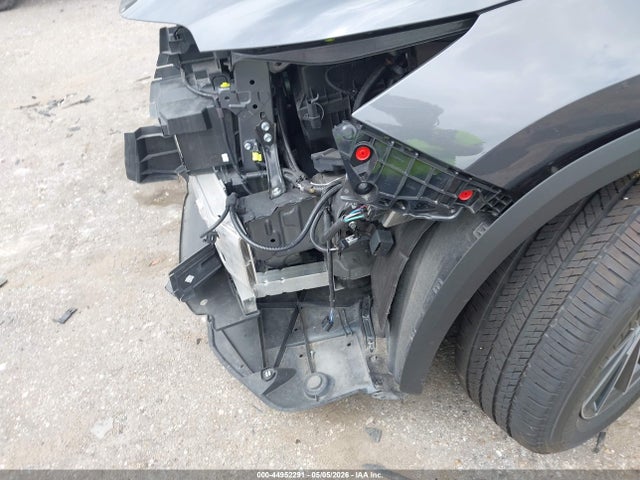 2024 Lexus Nx 250 Premium მანქანა იყიდება აუქციონზე, vin: 2T2GDCAZ2RC010187, აუქციონის ნომერი: 44952291