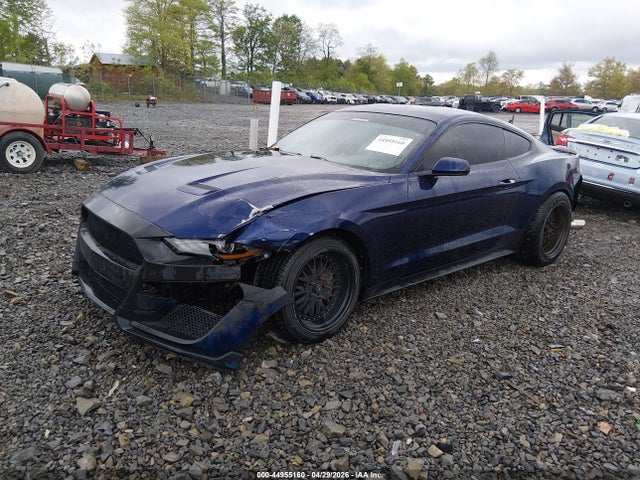 Продажа на аукционе авто 2020 Ford Mustang Ecoboost Fastback, vin: 1FA6P8TH2L5108493, номер лота: 44955160