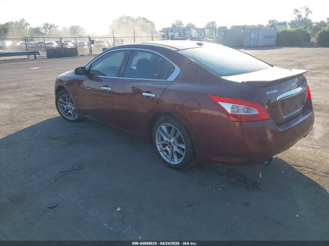 44956525 :رقم المزاد ، 1N4AA5APXAC836768 vin ، 2010 Nissan Maxima 3.5 Sv مزاد بيع