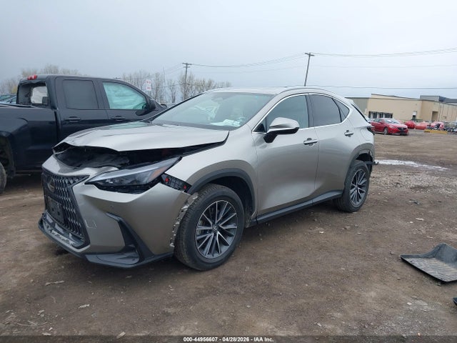 2025 Lexus Nx 350h Premium მანქანა იყიდება აუქციონზე, vin: 2T2GKCEZXSC042939, აუქციონის ნომერი: 44956607
