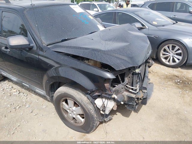 44956818 :رقم المزاد ، 1FMCU0D77AKC64732 vin ، 2010 Ford Escape Xlt مزاد بيع