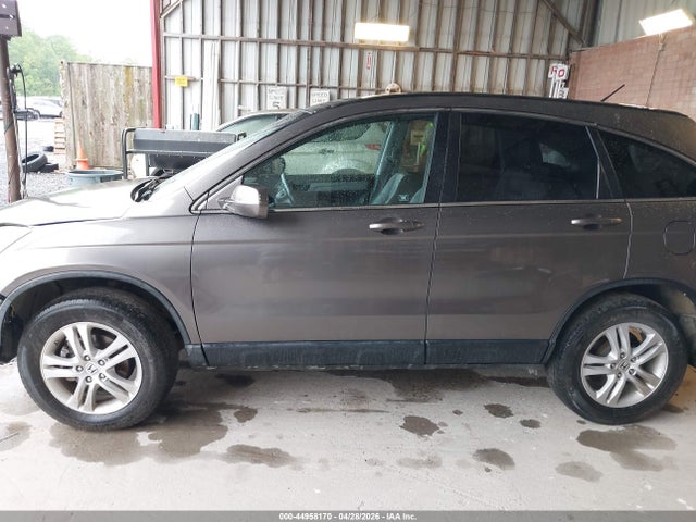 Продажа на аукционе авто 2010 Honda Cr-v Ex-l, vin: 5J6RE4H71AL027994, номер лота: 44958170