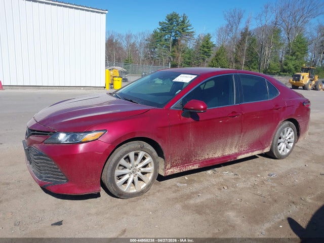4T1C11AKXLU928407 Toyota CAMRY LE