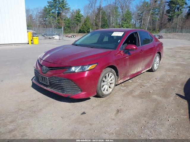 4T1C11AKXLU928407 Toyota CAMRY LE