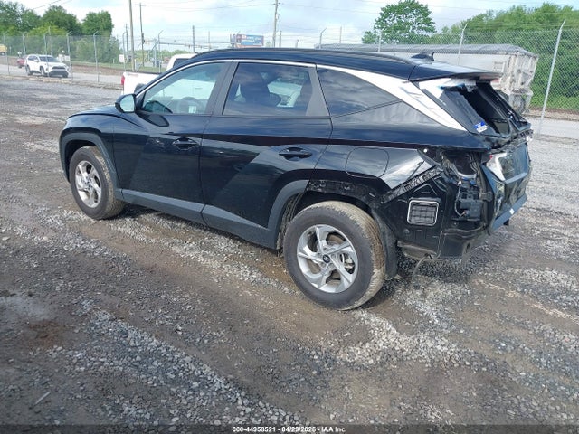 Hyundai TUCSON SEL 2024 5NMJBCDE5RH404530 Image 3