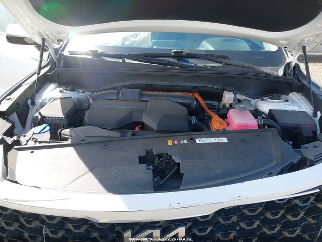 KNDRHDLG9P5156051 KIA Sorento Hybrid Ex