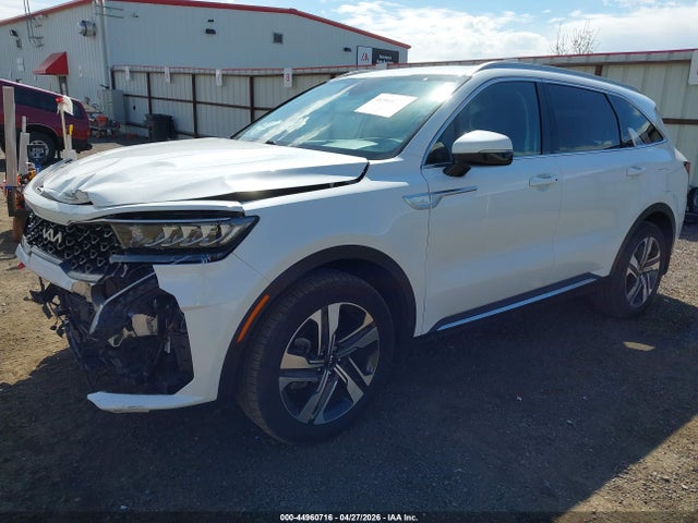 KNDRHDLG9P5156051 KIA Sorento Hybrid Ex