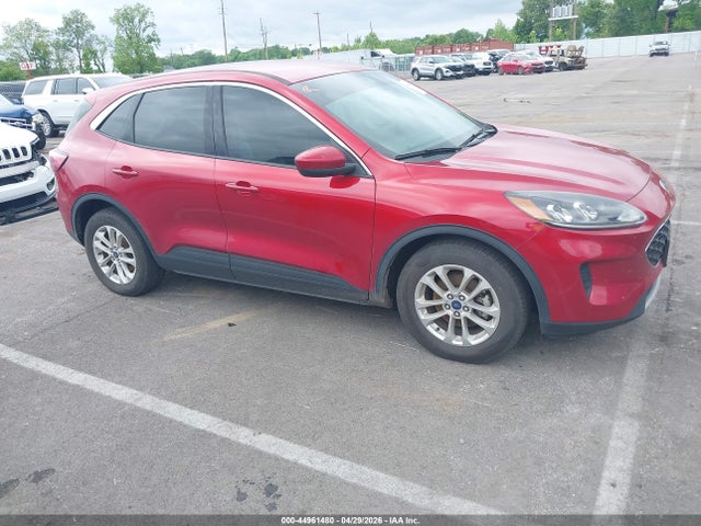 Продаж на аукціоні авто 2020 Ford Escape Se, vin: 1FMCU0G61LUB98429, номер лоту: 44961480
