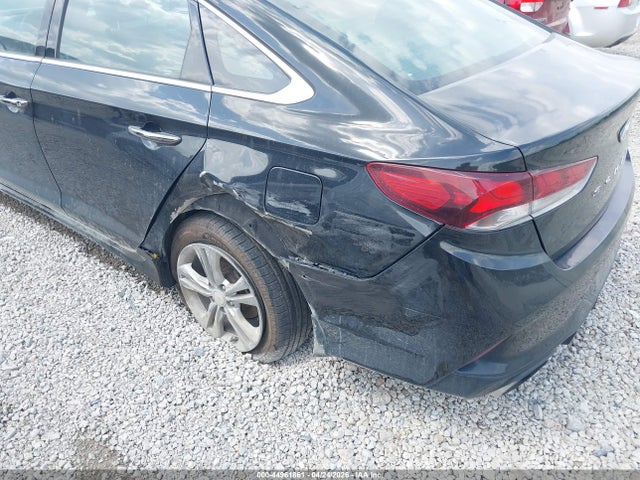 Продаж на аукціоні авто 2019 Hyundai Sonata Sport, vin: 5NPE34AF6KH750158, номер лоту: 44961861