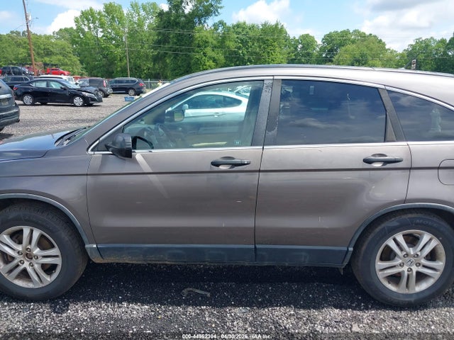 Продажа на аукционе авто 2010 Honda Cr-v Ex, vin: 5J6RE4H51AL002351, номер лота: 44962304