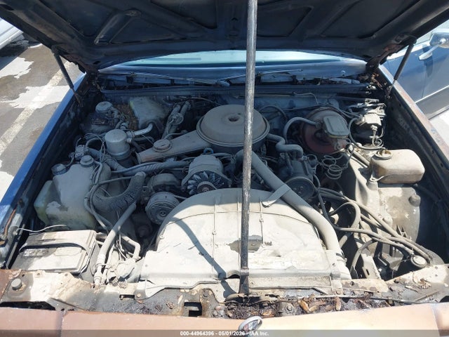 44964396 :رقم المزاد ، 1G4AH69A1BZ115373 vin ، 1981 Buick Century مزاد بيع