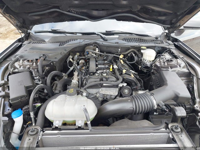 2023 Ford Mustang Ecoboost Fastback მანქანა იყიდება აუქციონზე, vin: 1FA6P8TH7P5105997, აუქციონის ნომერი: 44968307