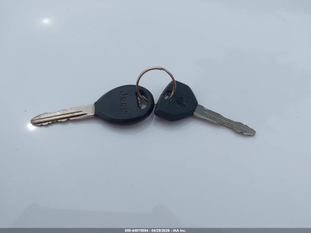 Aukcja sprzedaży 1999 Jeep Wrangler Sahara, vin: 1J4FY49S6XP495962, numer aukcji: 44970594