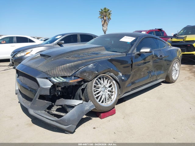 44971150 :رقم المزاد ، 1FA6P8TH2K5118861 vin ، 2019 Ford Mustang Ecoboost مزاد بيع