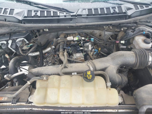 Aukcja sprzedaży 2019 Ford F-150 Xlt, vin: 1FTEW1EP0KFD43861, numer aukcji: 44971641