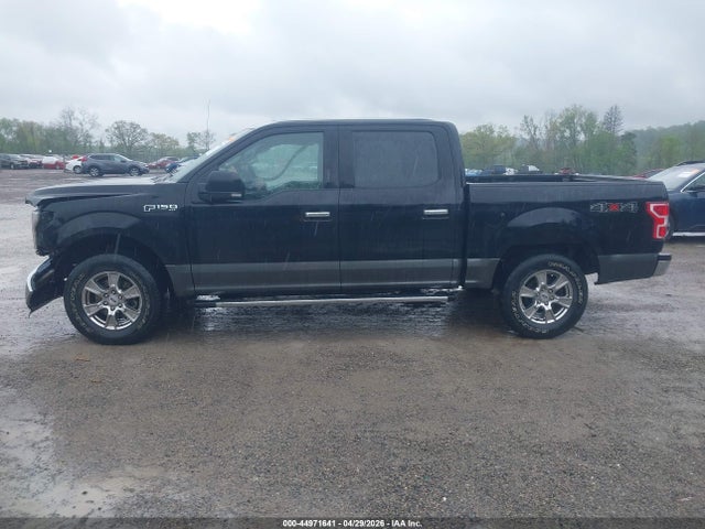 Aukcja sprzedaży 2019 Ford F-150 Xlt, vin: 1FTEW1EP0KFD43861, numer aukcji: 44971641