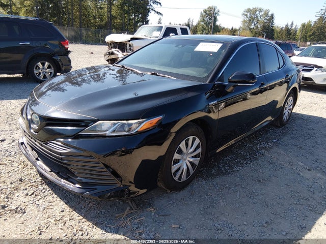 4T1B31HK1JU504980 Toyota Camry Hybrid Le