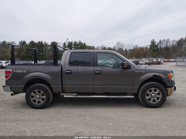 2014 Ford F-150 Xlt მანქანა იყიდება აუქციონზე, vin: 1FTFW1EF0EFA74356, აუქციონის ნომერი: 44972637