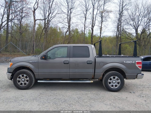 2014 Ford F-150 Xlt მანქანა იყიდება აუქციონზე, vin: 1FTFW1EF0EFA74356, აუქციონის ნომერი: 44972637