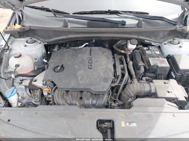 44973448 :رقم المزاد ، 5XYK7CDF6RG158998 vin ، 2024 Kia Sportage X-pro مزاد بيع