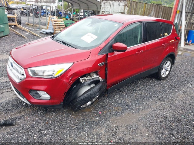 Ford ESCAPE SE 2019 1FMCU9GD3KUC45378 Image 2