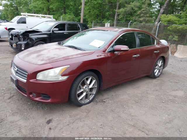2010 Nissan Maxima 3.5 Sv მანქანა იყიდება აუქციონზე, vin: 1N4AA5AP6AC838078, აუქციონის ნომერი: 44973920