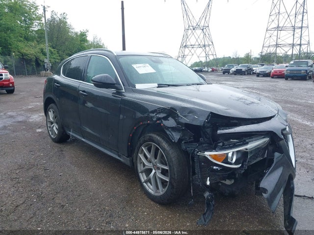 Alfa Romeo Stelvio Ti Lusso Awd 2019 ZASPAKBNXK7C30887 головне зображення