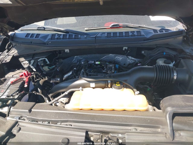 Aukcja sprzedaży 2019 Ford F-150 Xlt, vin: 1FTEW1EP7KFA58249, numer aukcji: 44976019