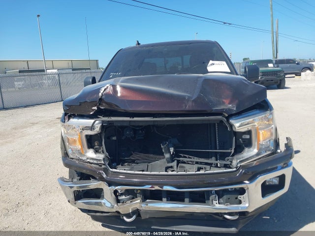 Aukcja sprzedaży 2019 Ford F-150 Xlt, vin: 1FTEW1EP7KFA58249, numer aukcji: 44976019