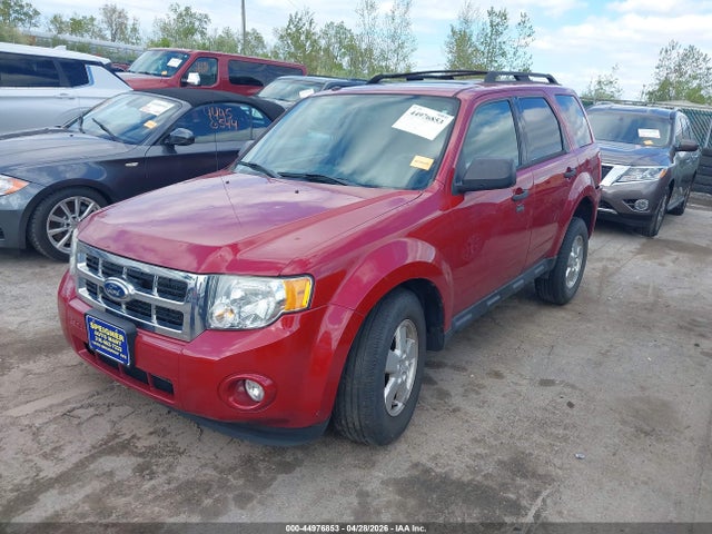 Продаж на аукціоні авто 2011 Ford Escape Xlt, vin: 1FMCU9D7XBKA97451, номер лоту: 44976853